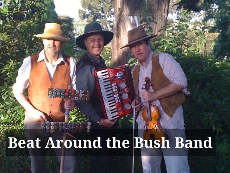 Bush band